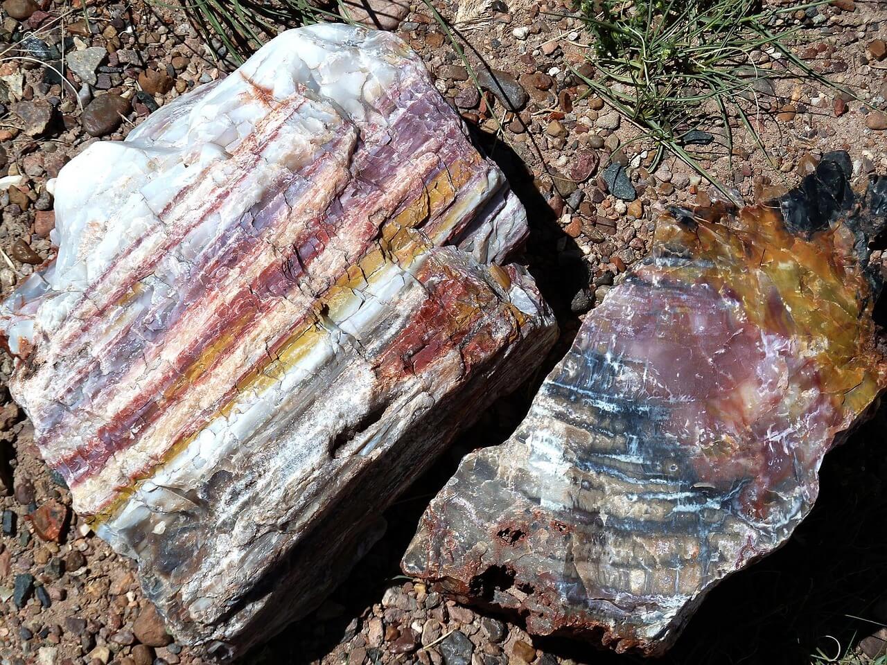 The Power of God: Transformation and the Petrified Forest